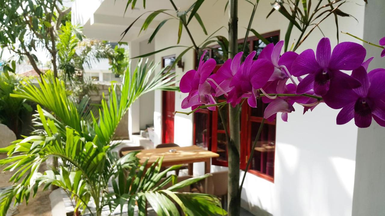 ميريسا Splendid Lodge المظهر الخارجي الصورة